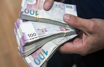 Dövlət Agentliyi 100 milyon manata yaxın zərər edib