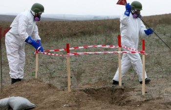 Azad edilən ərazilərdə 63 min ha minalardan təmizlənib