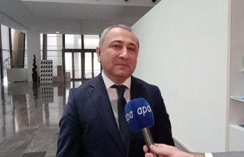 AYNA: Daşıyıcılara buraxılışla bağlı tələb ixraca ciddi təsir etməyəcək