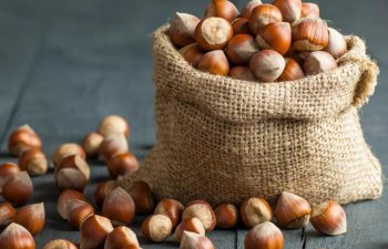 Azərbaycan fındıq ixracından nə qədər qazanıb?