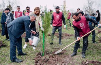 Növbəti 3 rayonda “Vətən Bağı” salındı - FOTO