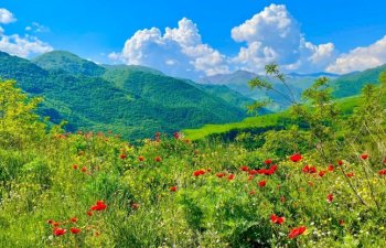 Azad edilmiş ərazilərin elektron su xəritəsi hazırlanır