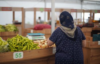 “Kənddən Şəhərə” yarmarkası təşkil olunacaq - FOTO