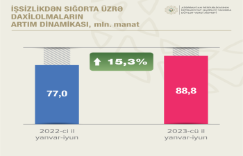 DVX xətti ilə dövlət büdcəsinə daxil olan vergi 9 mlrd. manatı ötüb