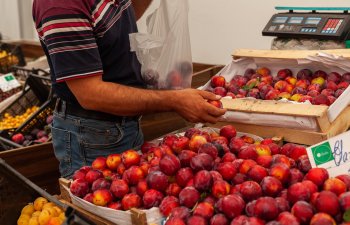 Həftəsonu “Kənddən Şəhərə” yarmarkası təşkil olunacaq - FOTO