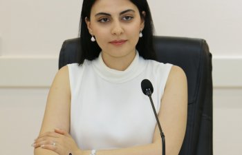 “Azalternativenerji” MMC-nin ləğvi dövlət resurslarına olan tələbat və risklərin azaldılmasına xidmət edəcək