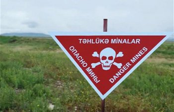 Bu qədər ərazi minadan təmizlənib - ANAMA sədri