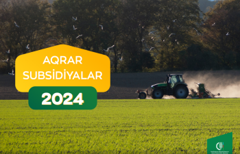 Aqrar Subsidiya Şurası 2024-cü il üçün subsidiya əmsallarını açıqlayıb