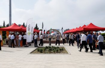 Ağcabədi rayonunda Aqrar İnnovasiya Festivalı keçirilib - FOTO