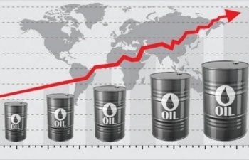 Brent nefti 100 dolar ola bilər