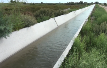 Saatlıda yeni növ kanal çəkilib