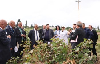 Pambıqçılığa həsr olunmuş tarla seminarı keçirilib