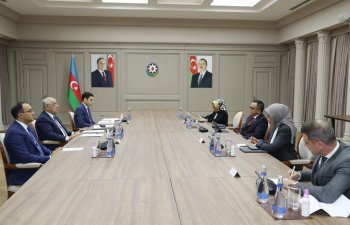Baş nazir İndoneziyanın inzibati və bürokratik islahatlar naziri ilə görüşüb