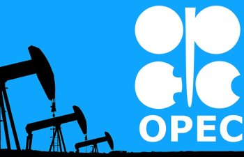 OPEC-in neft hasilatı oktyabrda gündəlik 80 min barel artıb