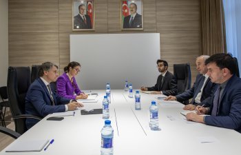 Energetika Nazirliyində UNECE-nin icraçı katibinin müavini ilə görüş keçirilib