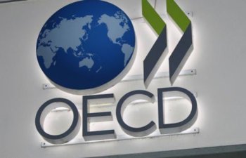 OECD Türkiyə də daxil olmaqla regional proqramını təqdim edib