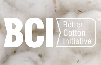 “Better Cotton Initiative”ə  ölkə üzvlüyünün əldə edilməsi” mövzusunda təqdimat keçirilib