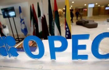 OPEC+ qrupunun neft qərarı