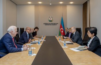 Energetika naziri BMT-nin İqlim Dəyişikləri üzrə Çərçivə Konvensiyasının icraçı katibi ilə görüşüb