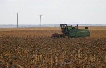 Kənd təsərrüfatı sahələrinin aktivləşdirilməsi üçün 520 milyon lirə ayrılıb