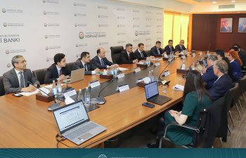 AMB və IMF maliyyə sektoru dayanıqlılığının artırılması üzrə istiqamətləri müzakirə ediblər
