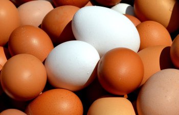 Bu ölkə yumurta idxalını qadağan etdi