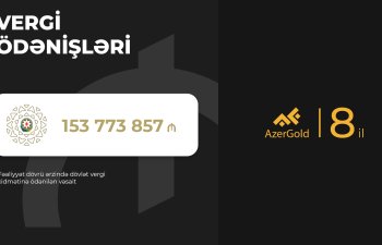 “AzerGold” QSC: ilk illərdən mənfəətli fəaliyyət, artan gəlirlər