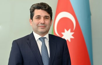 Azərbaycanda aktiv vergi ödəyicilərinin sayı 778 minə çatıb - Anar Axundov