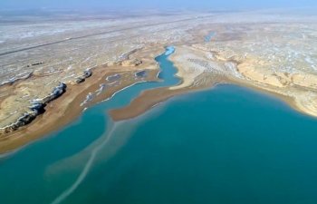 Çin və Qazaxıstan Ekoloji Tərəfdaşlıq: Aral Dənizinin dibində meşə salınması təklifi