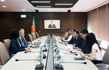 Dünya İqlim Fondunun icraçı direktoru ilə görüş keçirilib