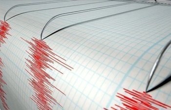Yaponiyada 7,1 bal gücündə zəlzələ: Sunami xəbərdarlığı edilib