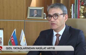 Zakir İbrahimov: "AzerGold QSC-yə hasilatın pay bölgüsü haqqında sazişdə dövləti təmsil etmək səlahiyyətinin verilməsi böyük etimaddır"