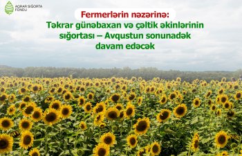 Fermerlərin nəzərinə: Təkrar günəbaxan və çəltik əkinlərinin sığortası – Avqustun sonunadək davam edəcək