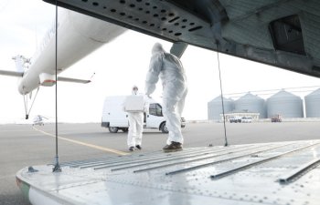 Vəhşi heyvanların peyvəndləməsi helikopterlə həyata keçirilir