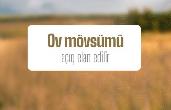 Azərbaycanda ov mövsümü rəsmi olaraq başladı