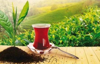 Azərbaycandan çay ixracı 48% artıb