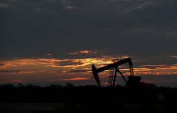 Brent markalı neftin bir barreli 65,6 dollara yüksəlib