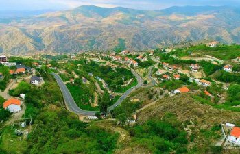 Qarabağ və Şərqi Zəngəzurda mikro və fərdi sahibkarlıq üstünlük təşkil edir