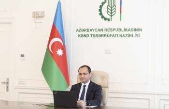 Rusiya Azərbaycanın taxıl tələbatını qarşılamaya hazırdır