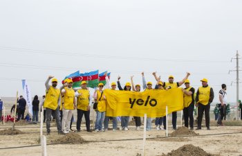 Yelo Bank ölkəmizin yaşıllaşdırılmasına öz töhfəsini verdi