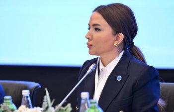 Aygün Əliyeva: “Həmrəy fəaliyyətlə konkrekt nəticələr əldə etməliyik”