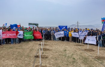 Maliyyə Assosiasiyalarının növbəti ağacəkmə aksiyası keçirilib
