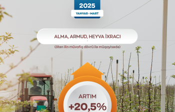 Azərbaycandan xarici bazarlara meyvə ixracı genişlənir