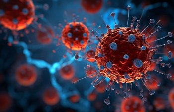 BioNTech rübdə xalis itkini 32% artırır