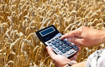 Fermerlər üçün 15 000 AZN-dək, illik 12%-lə mikromaliyyələşmə imkanı