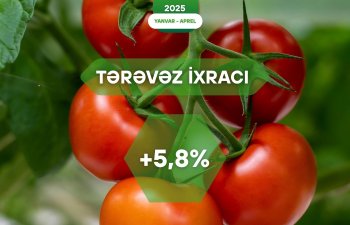 Xarici bazarlara tərəvəz ixracında 5,8% artım qeydə alınıb
