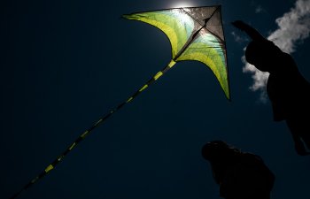 Aeroflotun səhmdarlarının illik yığıncağı qiyabi keçiriləcək