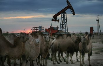 Qazaxıstan OPEC+-ın iyulda neft hasilatını artırmağı planlaşdırdığını təsdiqləyib