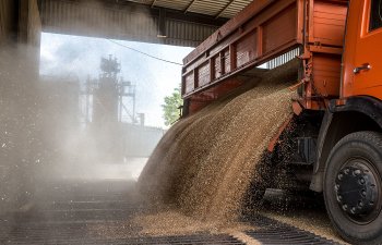 Ekspertlər taxılın cənuba avtomobil daşınması tariflərinin 40% ucuzlaşdığını qeyd ediblər