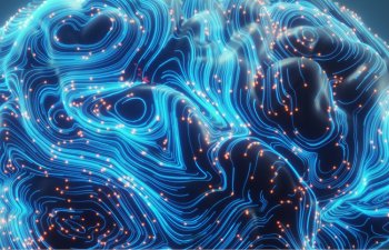 Neuralink 650 milyon dollar maliyyə cəlb etdi